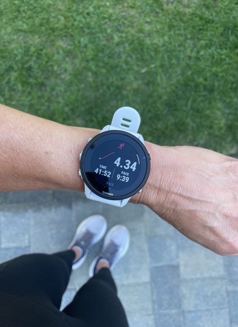 Garmin 955
